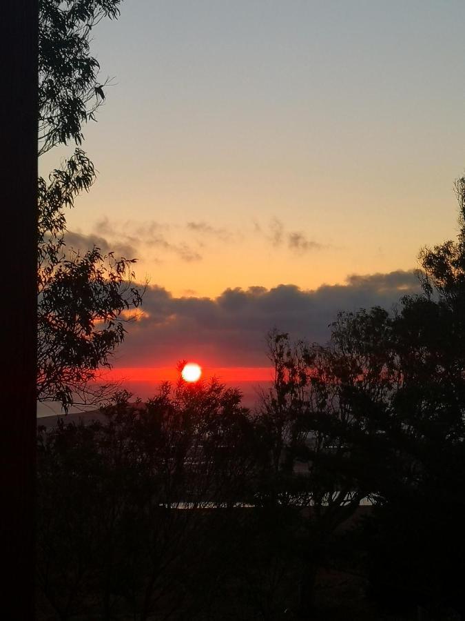 Flor De Loto Romantic Woodhouse Casita Camping Aguatona Bagian luar foto